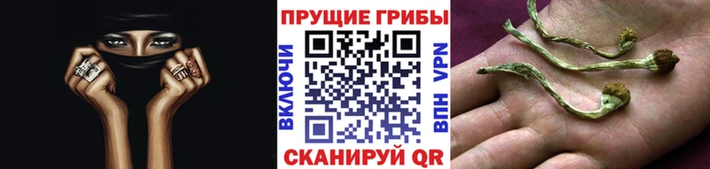 цена наркотик  Ясный  Галлюциногенные грибы ЛСД 
